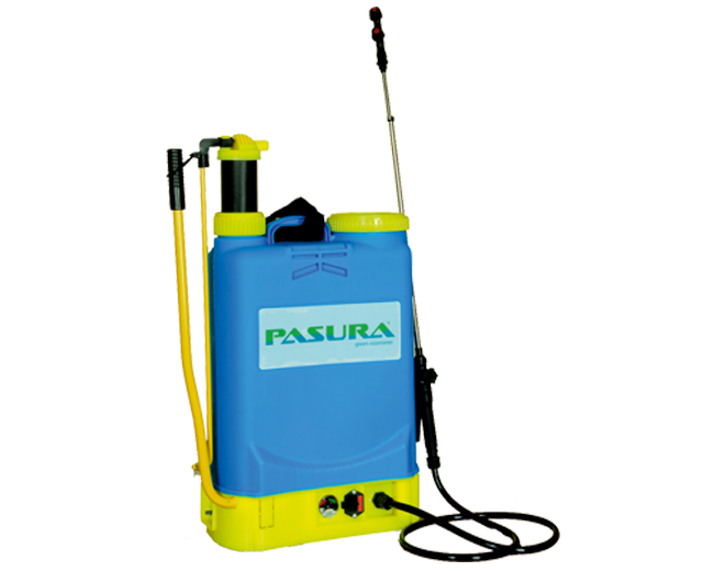 Pasura